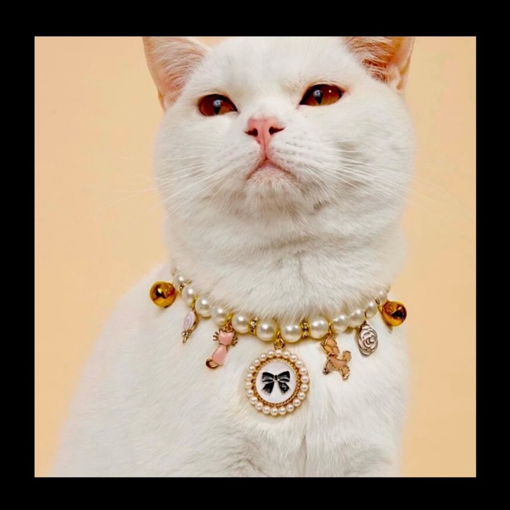 Pearls cat necklace ❤️